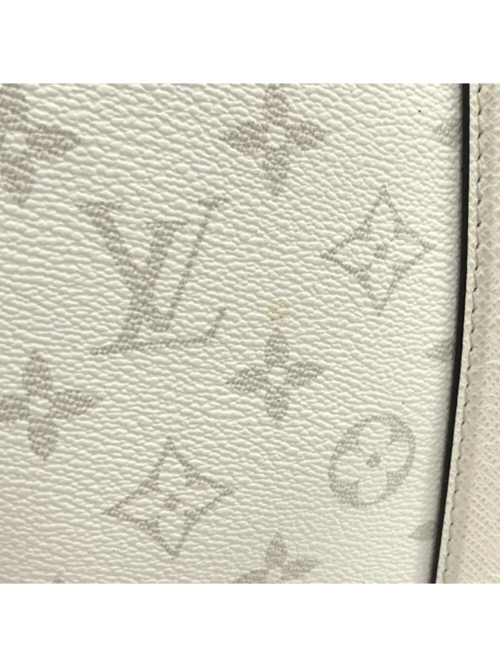 Louis Vuitton Taiga Rama Weekend Tote